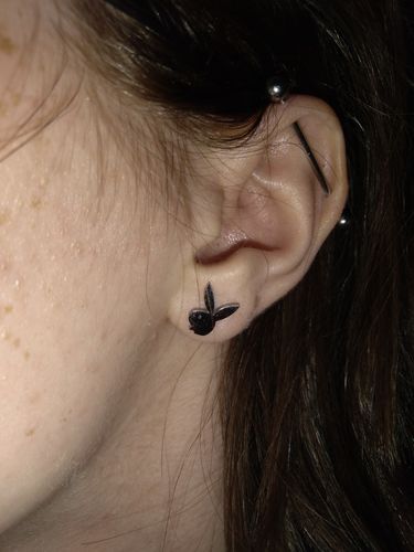 Customer photo review of PAIR Playboy Earrings