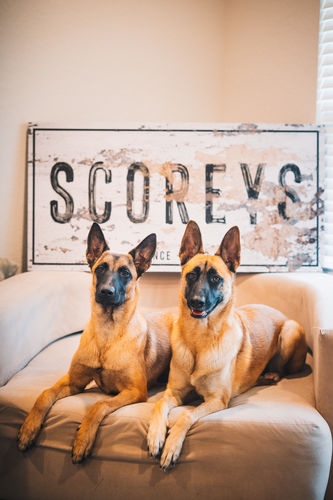 Customer photo review of Name Sign - Personalized Huge Canvas