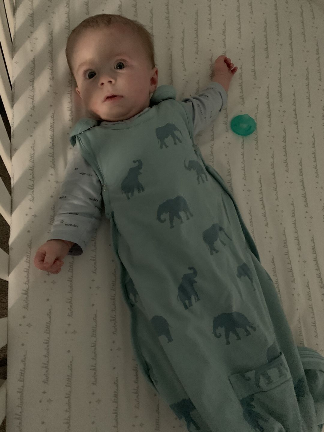 Customer photo review of Ecolino® Adjustable Baby Sleep Bag, Organic Cotton, Universal Size: 2 Months - 2 Years, Elephant