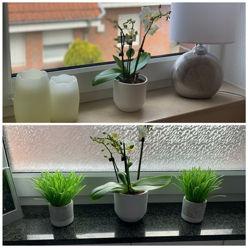 Customer photo review of 2er Set - Table Dance - Farbmix mit weißen Keramiktöpfen