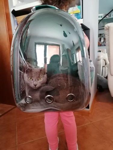 westgate pets backpack