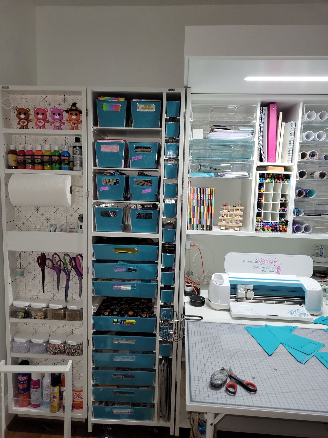 Customer photo review of InView™ Tote Tracks