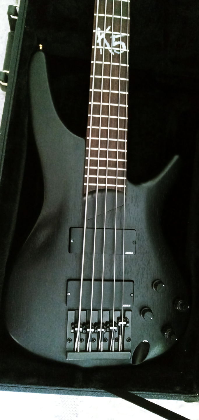 Customer photo review of 5 String KickAss™ Bass Bridge