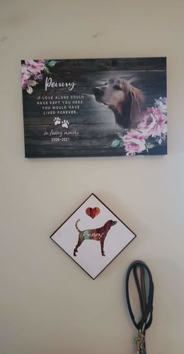 Customer photo review of Personalized Pet Memorial Printed, Dog Loss Gift, Dog Memorial Frame, Pet Loss Gift Dog, Pet Memorial