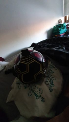 Customer photo review of The Soccer Trainer