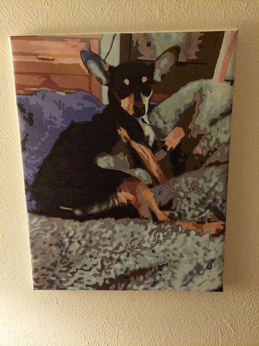 Customer photo review of Wooden Frame