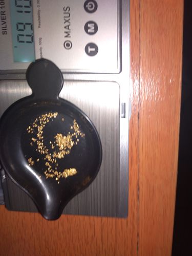 Customer photo review of *BOGO* Goldn Paydirt '$5,000 Nugget Giveaway' - Gold Panning Paydirt Concentrate