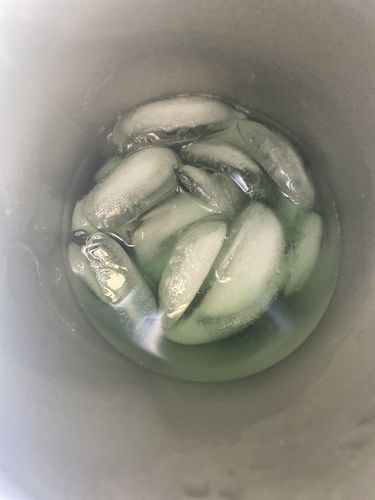 Customer photo review of 5x Chlorophyll - Spearmint Flavour