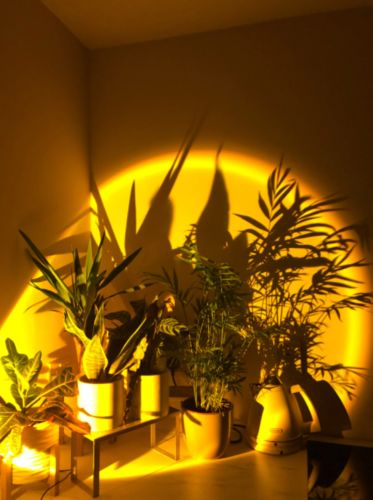 Customer photo review of The Sunset Projector™