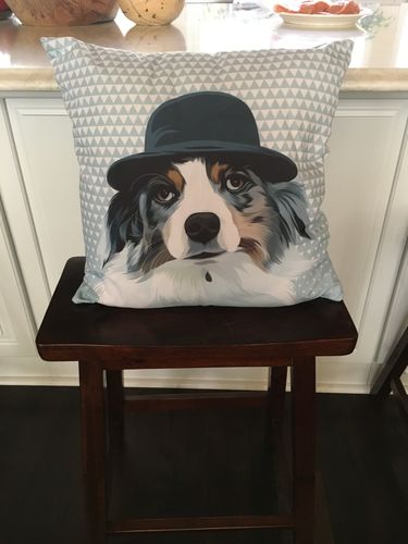 Customer photo review of Custom Pet Couch Pillow with Cover