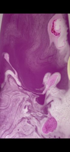 Customer photo review of Beauty Of Belle Money Bath Bomb