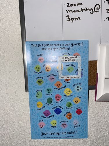 Customer photo review of Feelings Chart -- Magnet