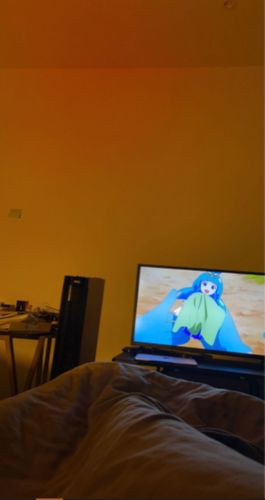 Customer photo review of The Sunset Projector™