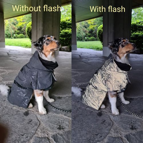 Customer photo review of Visibility Winter Jacket Black for Dogs