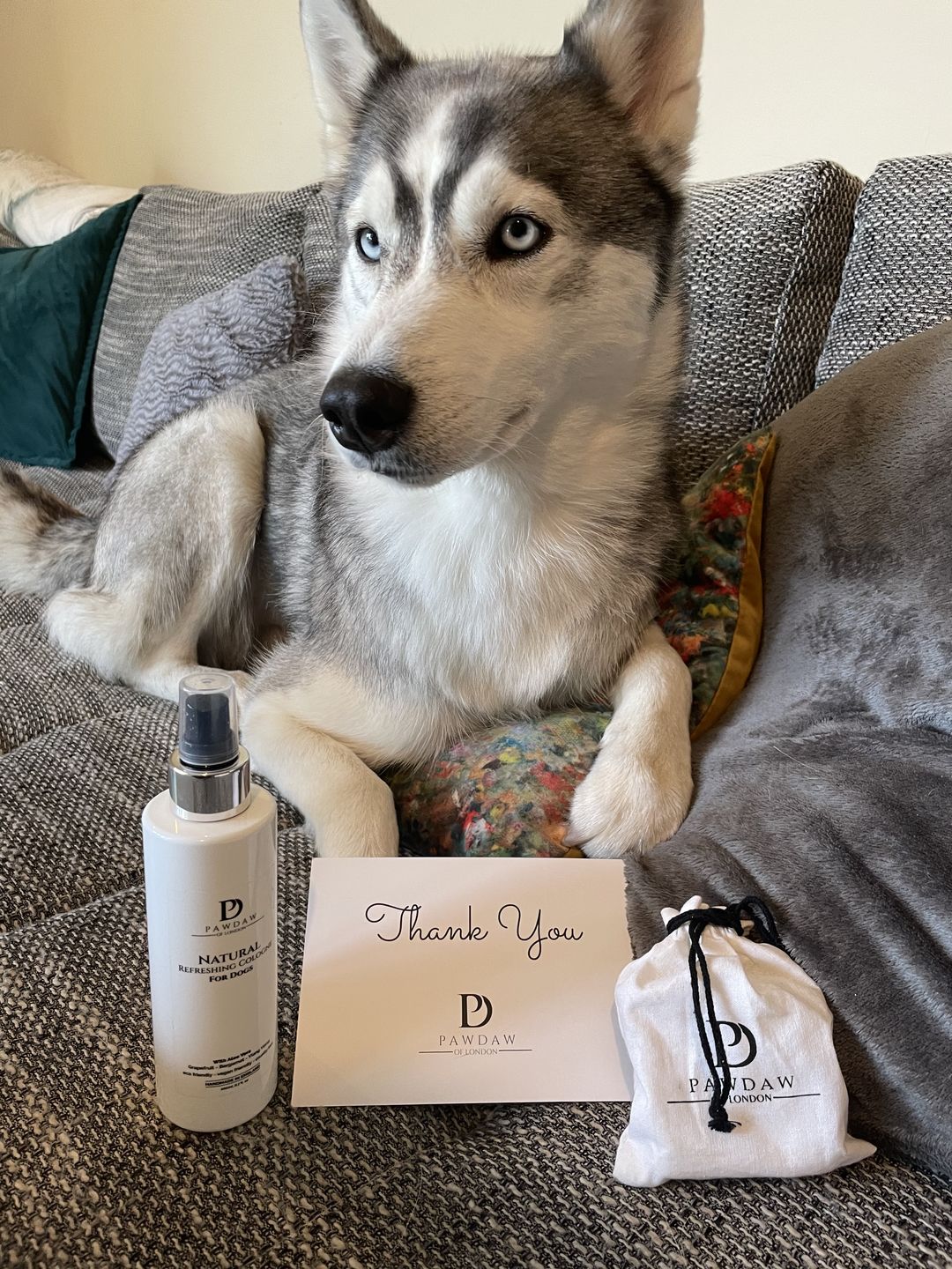 Customer photo review of Natural Refreshing Dog Cologne