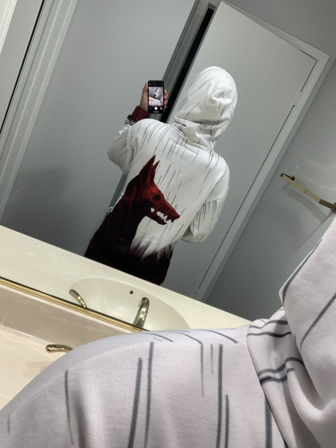 Customer photo review of Anubis Hoodie