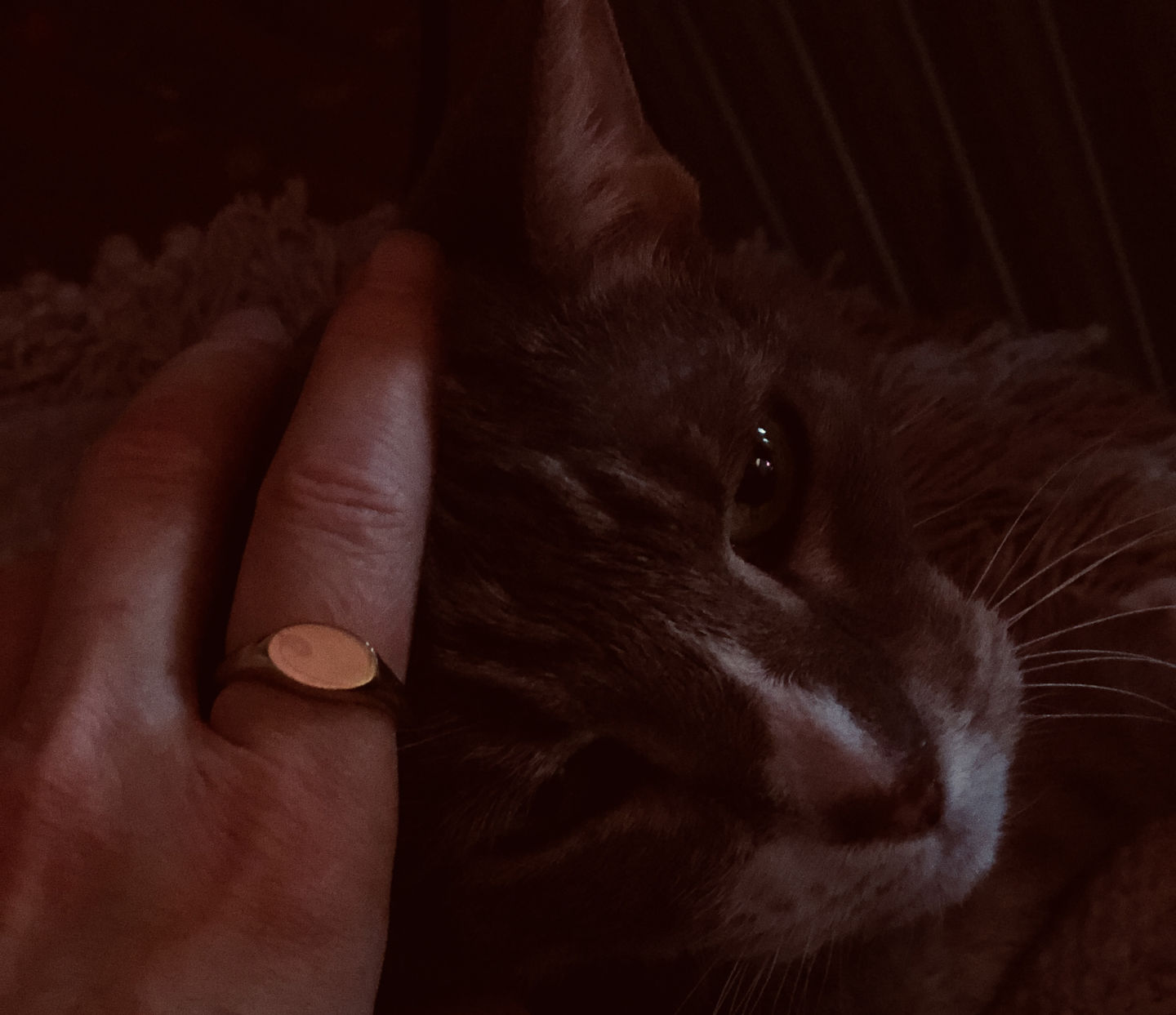 Customer photo review of Signet Ring