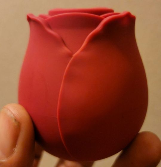 Customer photo review of Rose Suctional Vibrator