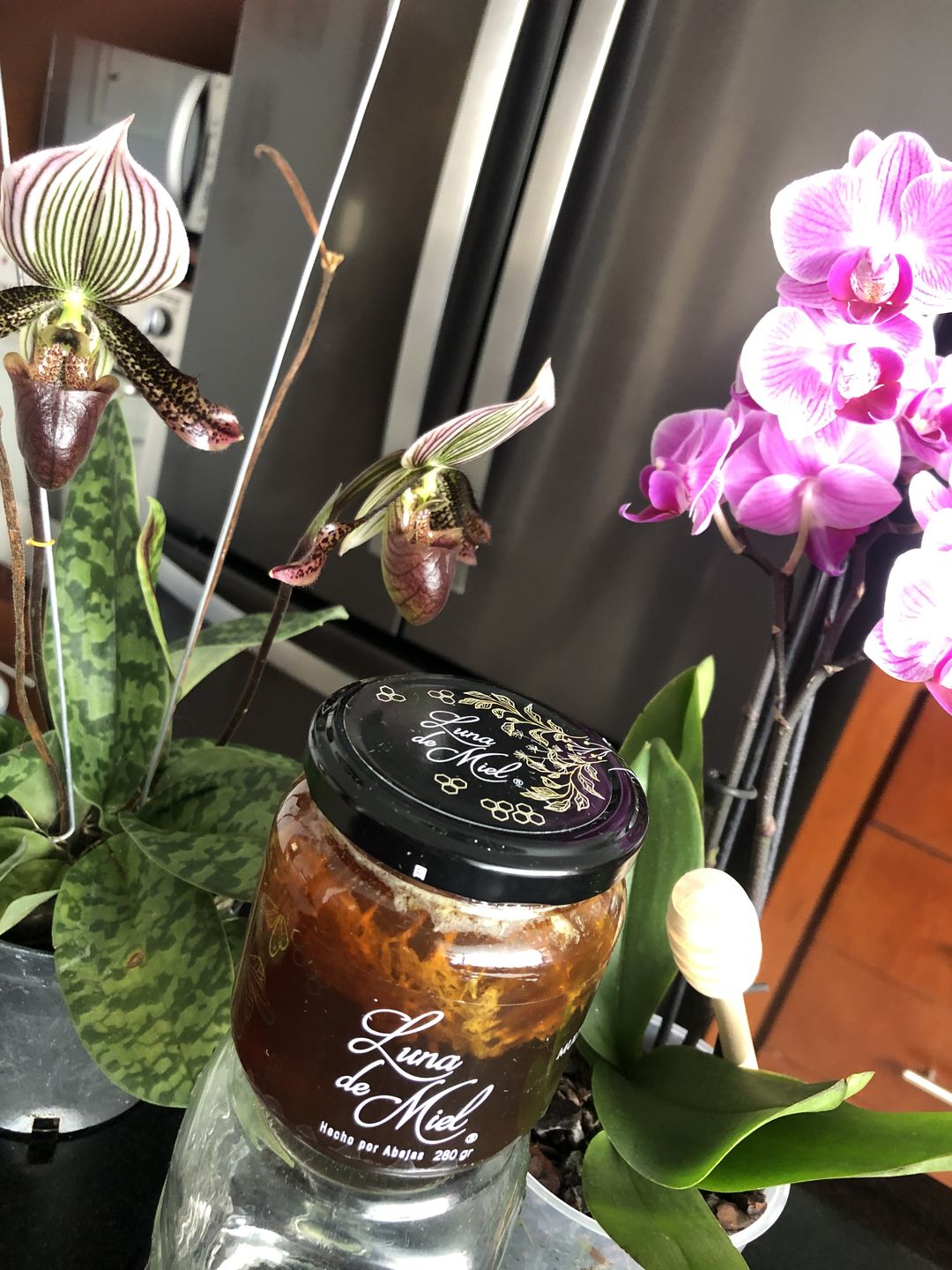 Customer photo review of Luna de miel con panal de abejas
