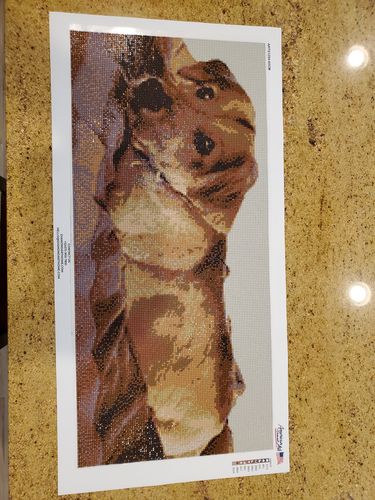 Customer photo review of Custom Diamond Painting Kits for Adults DIY 5D - Photo Diamond Art Shipped from USA