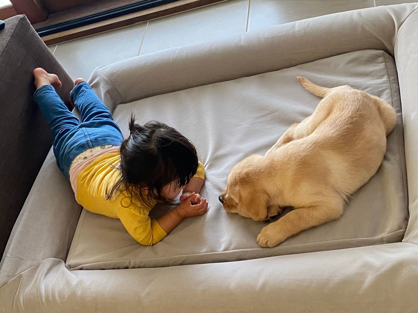 Customer photo review of Kangaroo Bed Extra Cover - Grey