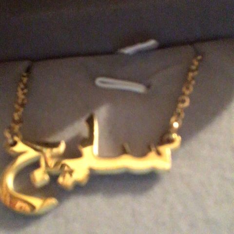 Customer photo review of Arabic Name Necklace