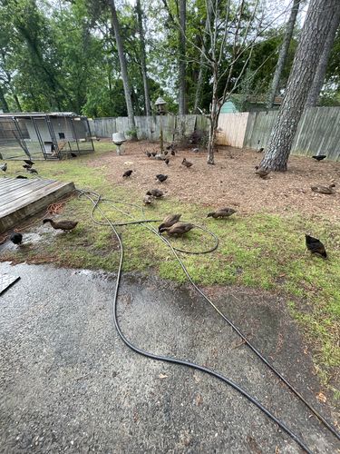 Customer photo review of GrubTerra Dried Larvae