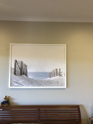 Customer photo review of Path to the Sea