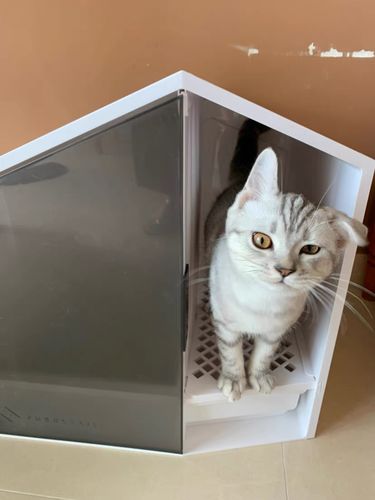 Customer photo review of Furrytail XL Semi-Closed Glow House Cat Litter Box with Scoop