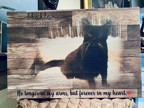 Customer photo review of Wooden Animal Portrait Sign | Personalized Canvas Wall Art