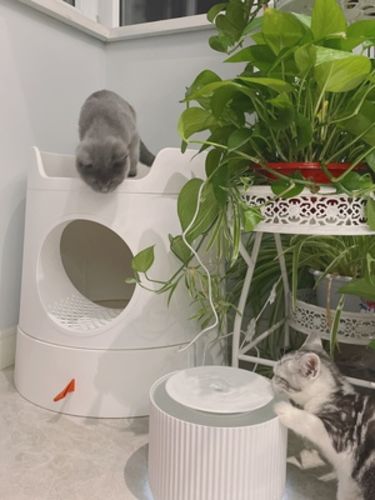 Customer photo review of Mayitwill XL Castle 2 in 1 Front-Entry Cat Litter Box with Scratch Basin, Scoop included, White