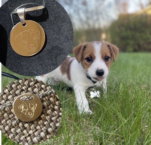 Customer photo review of Silber Lineart Love Armkette