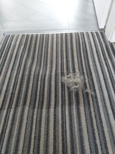 Customer photo review of Lint Swept™ Lint Roller Shaver