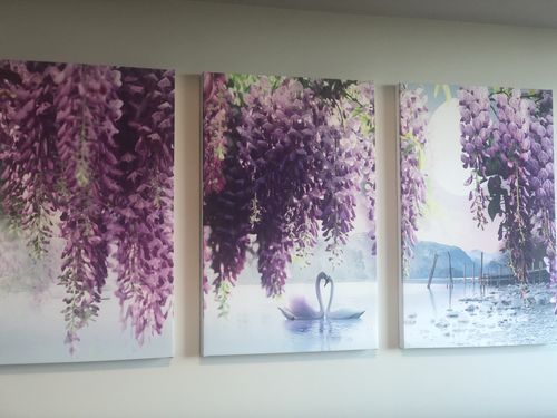 Customer photo review of 'Flower & Swan' Framed Canvas Set of 3 (29" x 19")
