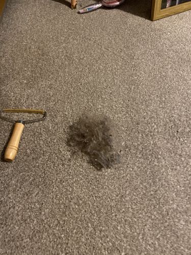 Customer photo review of Lint Swept™ Lint Roller Shaver