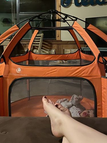 Customer photo review of Pop N' Go® Playpen