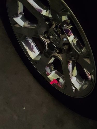 Customer photo review of The Tire Cockz - The Penis Valve Cap Covers