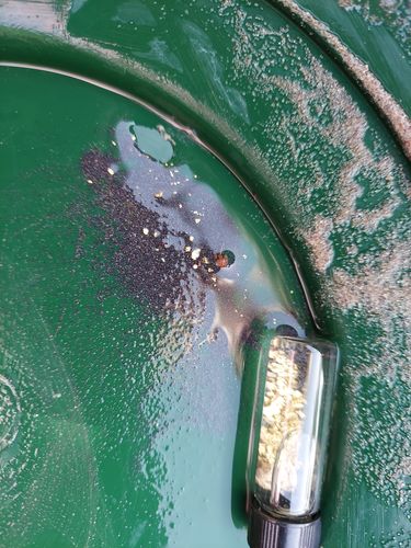 Customer photo review of Nugget Reserve 'MUSEUM SPECIMEN CHASE' - Gold Panning Paydirt Concentrate