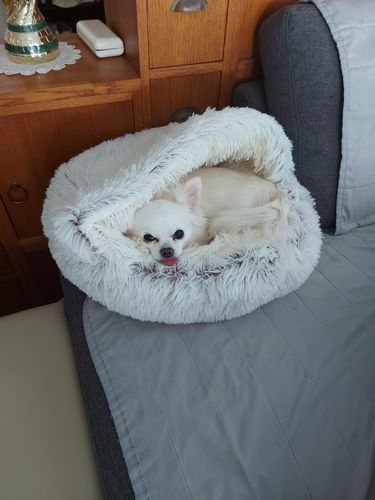 Customer photo review of Coussin Pour Chat Confort & Apaisant