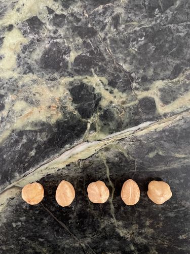 Customer photo review of 3 confezioni di Nocciole Piemonte IGP "Tostate" (500g)