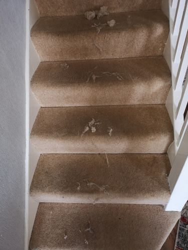 Customer photo review of Lint Swept™ Lint Roller Shaver