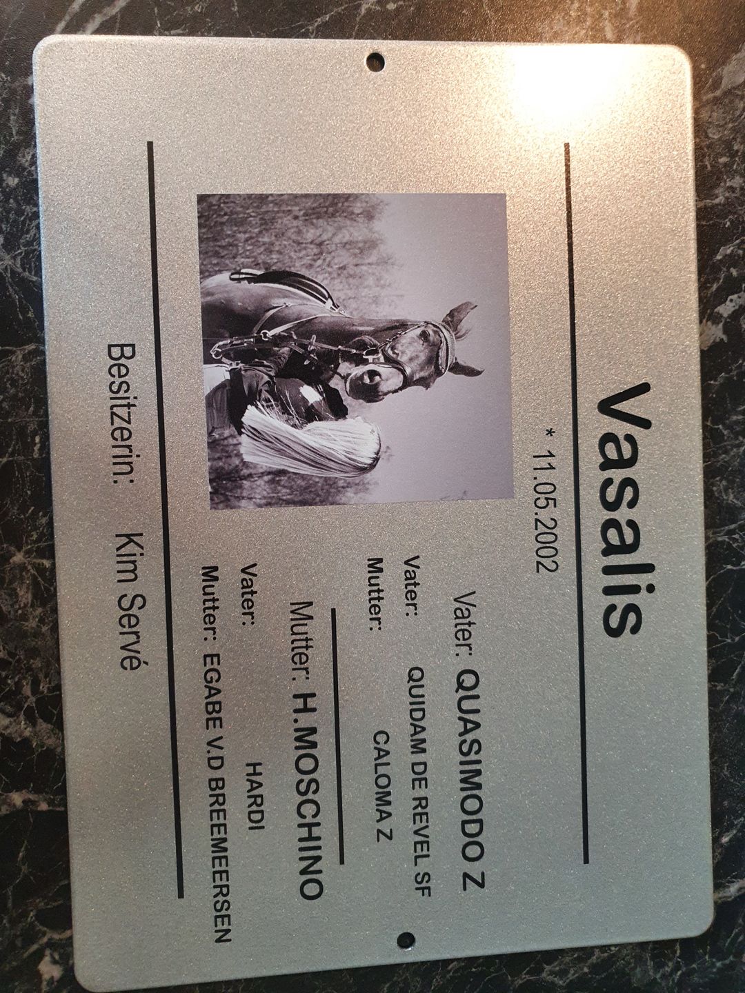 Customer photo review of Personalisierbares Boxenschild  aus gebürsteten Stahl "Stammbaum" im Classic-Design mit Abstammung auch der Großeltern deines Pferdes