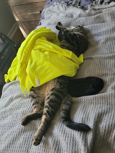 Customer photo review of TSE Hoodie - Neon