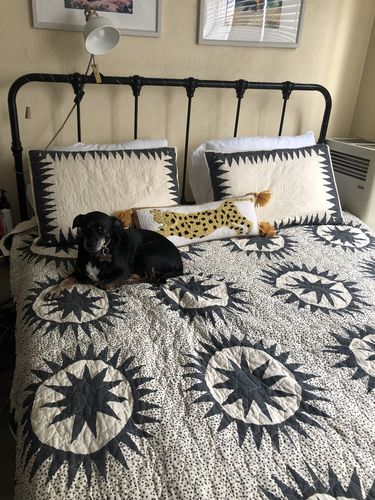 Customer photo review of Soleil Quilt Set by Jungalow®