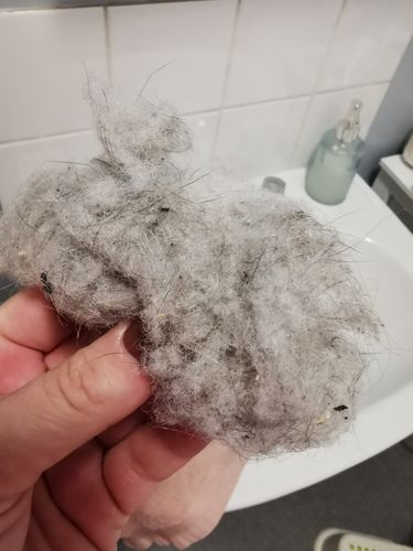 Customer photo review of Lint Swept™ Lint Roller Shaver