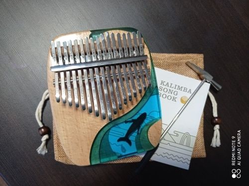 Customer photo review of 2021 New 17/21 Keys Hluru Blue Ocean Resin Whale Dolphin kalimba