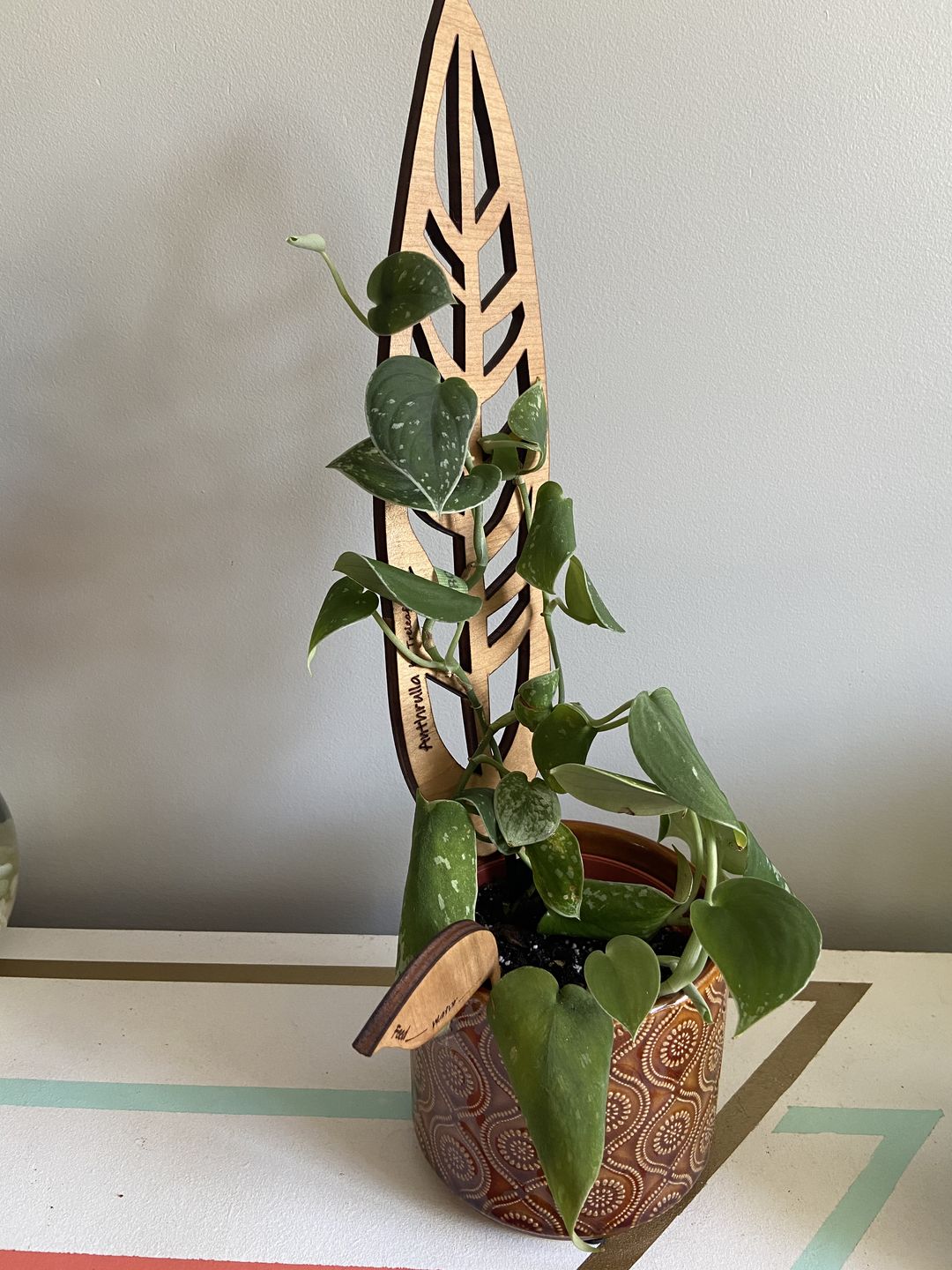 Customer photo review of Anthrulla - Plant trellis inspired by the Queen Anthurium