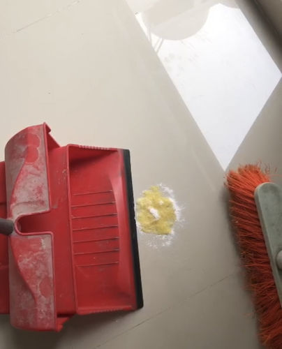Customer photo review of Paquete Peluditos - Membresía - 3 piezas de 250 grs + Envío Gratis