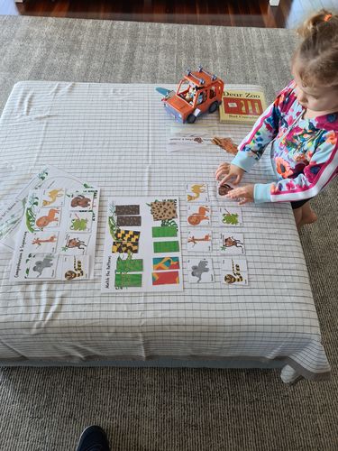 Customer photo review of 1. Dear Zoo Play Pack for 2-6yo