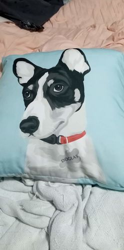 Customer photo review of Custom Pet Couch Pillow with Cover